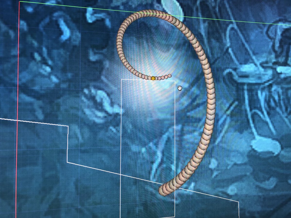 InfiniteAmmoDev's tweet image. Generating spirally plants #ProjectThread