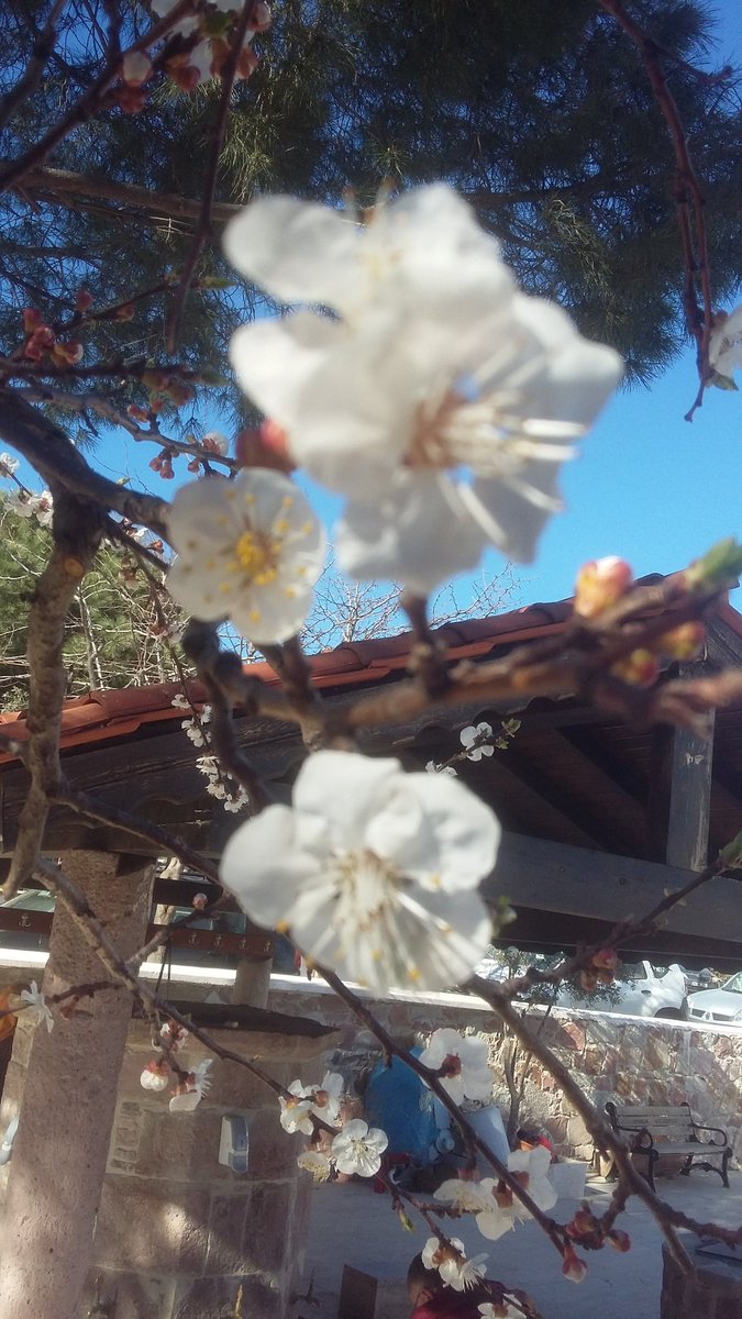 aksesuar10's tweet photo. #EnGüzelEdremit avcılar köyü
#samsung #granprime https://t.co/AhOWzibkDG