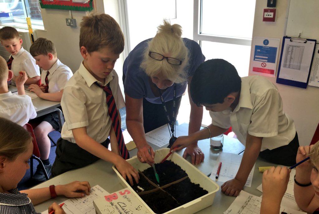 sonningprimary's tweet photo. Year 6 guided reading, Year 5 PSHE and Year 4 Science this week #KS2 #BreadthOfLearning. https://t.co/PqlZiVyLnn