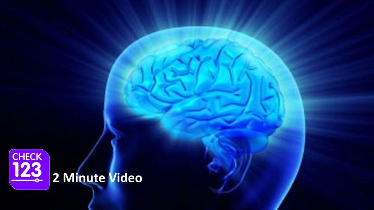 Check123Sci's tweet photo. How Does Our Short-Term Memory Work?
Video: https://t.co/utSqpTkM1d
#science https://t.co/kIDGhNEaJ0