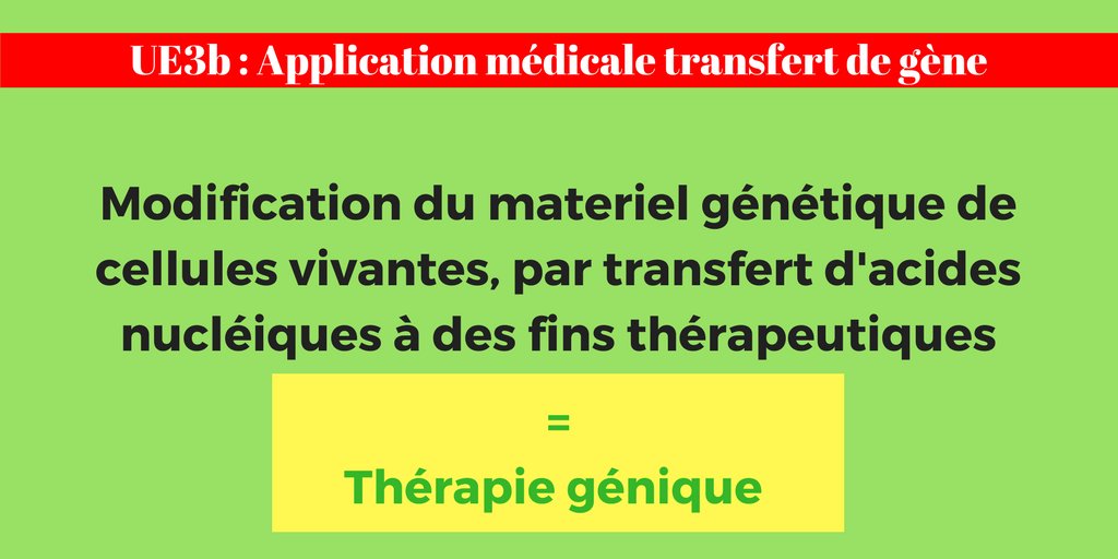 prepa1617's tweet photo. #PACES UE3b-4 #Génome #kiné #notion à connaitre par ❤ #Winner On lâche rien #Santé #fac #medecine https://t.co/a2HuAlleux