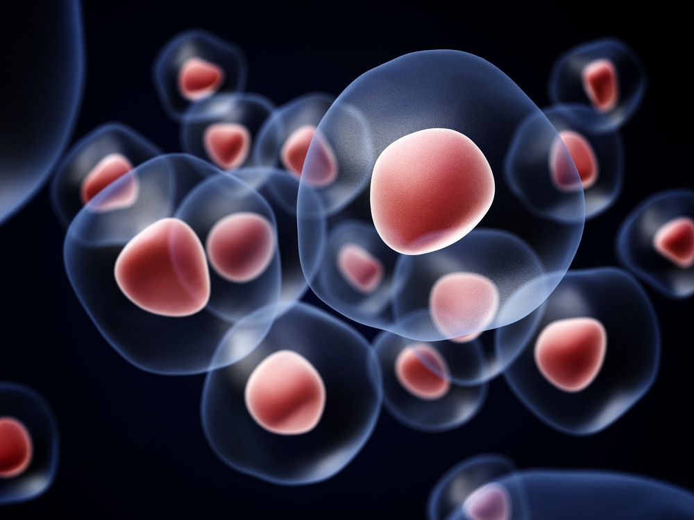 DrNikhilVerma's tweet photo. #Stemcelltherapy is a #biologictreatment that offers patients a potentially effective treatment option for orthopedic and sports injuries of the #shoulder, #knee or #elbow. https://t.co/fGZTlGlNvn https://t.co/tWMU7B9GHP