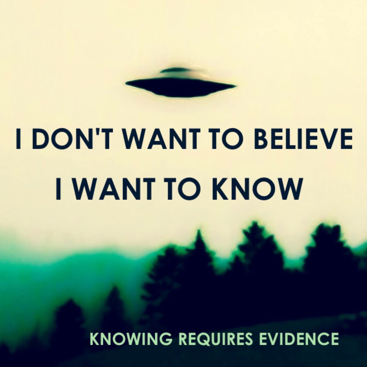 realufobros's tweet photo. The UFO โI believeโ poster does bug me a bit. Anyone else? This is a much better representation for sure. -Emmett ๐ฝ๐ธ#ufo #ufos #ufobrostv #alien #aliens #extraterrestrials #flyingsaucer #area51 #disclosure #ancientaliens #aliens๐ฝ #ufology #ufologist https://t.co/MUWtprpuBS