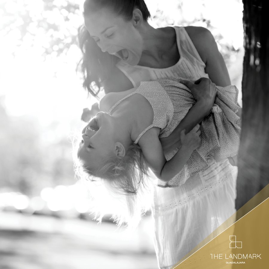 The Landmark Guadalajara tweet media