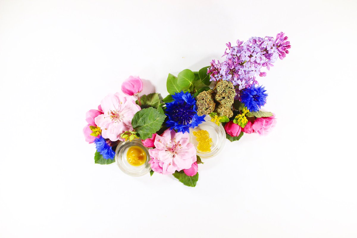 cannabananaaa's tweet photo. #Flowerplay https://t.co/KJKz4qoAGE