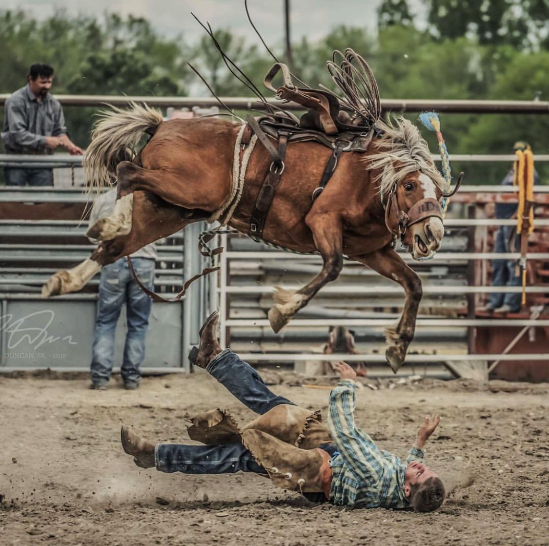 therodeotrail's tweet image. “ Insert Caption Here “ 

📷 - @tduncanphotography

#RodeoChat