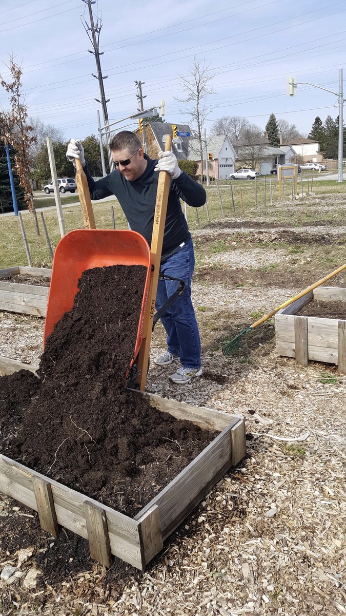 YRFoodNetwork's tweet photo. #GrowbackThursday Sending a huge shout out to @UNFI  for coming to prep our London &amp; Main Community Garden, Friday April 27th!
You worked hard spreading compost, mulching pathways and weeding. Your generous donation of time and muscle helped build this community!
#yrfngratitude https://t.co/9c6x9ugHkc