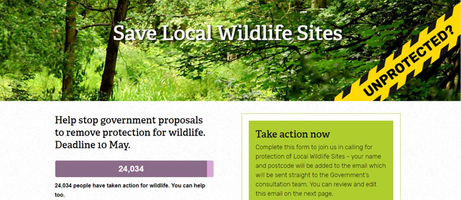 WildlifeTrusts's tweet image. 24,000 people have sent a message to Govt about changes to planning guidance that threaten Local Wildlife Sites. Thank you! The consultation closes at 11.45pm TONIGHT - there's still time to take action: wtru.st/saveLWS   #UnprotectedSites #ActSwiftly