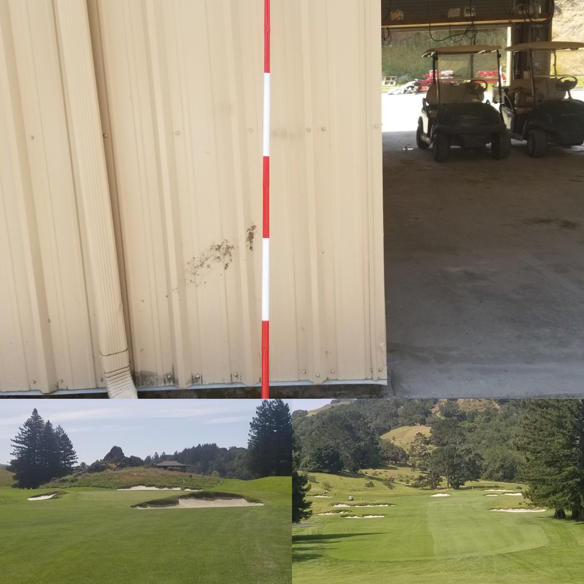 KevinHauschel's tweet photo. Golf course is looking good!!! Prior to first member guest tournament of the year!!! Greens mowed, rolled, and rolling true!! Bamboo flagsticks made in house are refreshed with paint and ready to go out!!! #meadowclub1927 #norcalgolf #dialed #rollingsmooth https://t.co/cWwbKjNNxt