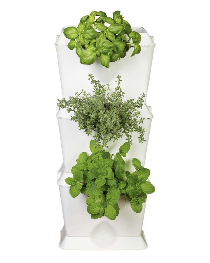 Nieuw en wereldwijd als eerste leverbaar in Nederland bij Minigarden Nederland! Het multifunctionele Minigarden ONE plantenwand systeem geschikt voor 1 plant per ONE module. Eenvoudig te combineren met Minigarden Vertical en Corner systemen #hollandfirst