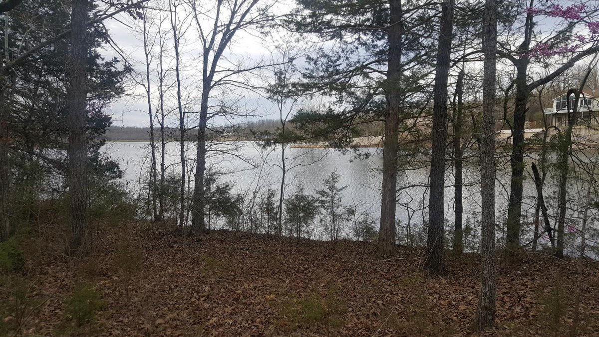 cbparagould1's tweet photo. See a virtual tour of our listing on 1 Tullalah Circle #CherokeeVillage #AR  #realestate https://t.co/RFdb1jFUAK https://t.co/iddcCjQqnB