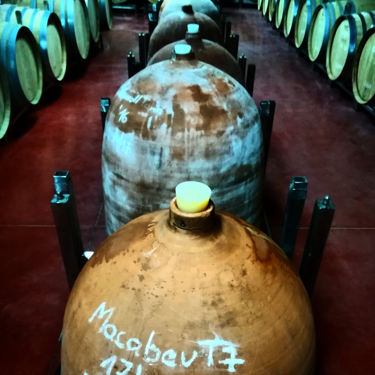 marionacamps's tweet image. Tarda al Celler @collbaix provant els nous 🍷🍷🍷 #urpina @fundacioampans #macabeu i #sumoll @dopladebages @confrariabages #cellers  #bages #igersbages #igerscatalunya #vi #wine @geoparccatalunyacentral @bagesturisme