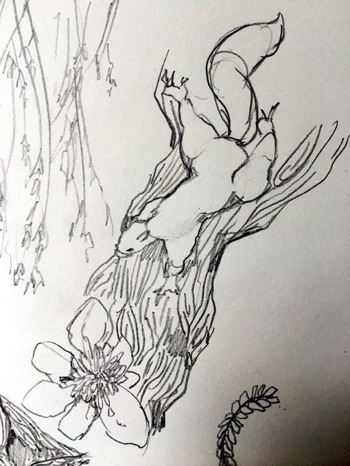 Wow I went outside to draw, miracle lol #nature #sketches 