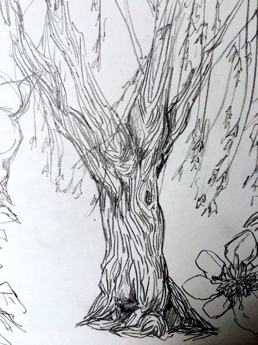 Wow I went outside to draw, miracle lol #nature #sketches 