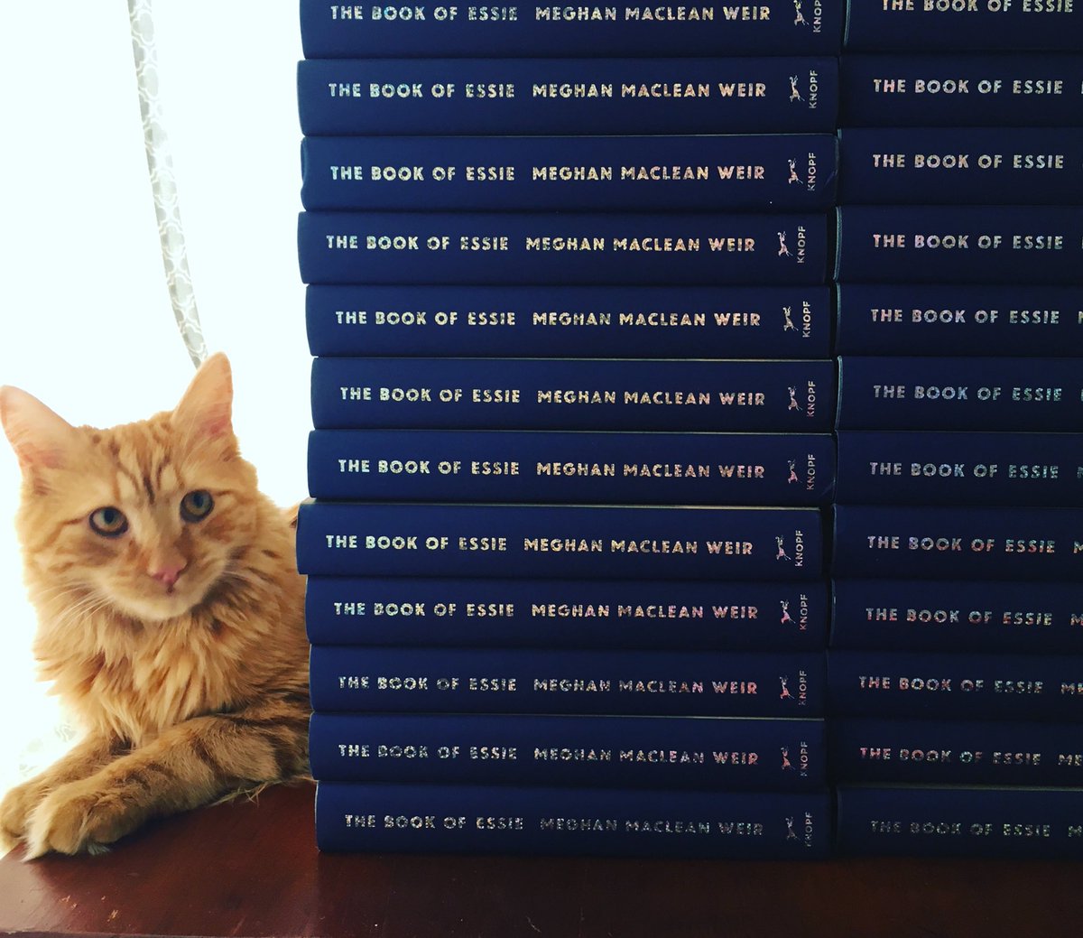 MeghanWeir's tweet photo. They’re here!!! And they’re being chewed on. Thank you @aaknopf #thebookofessie #writerslife #authors2018 #CatsOfTwitter https://t.co/YWtiacD509