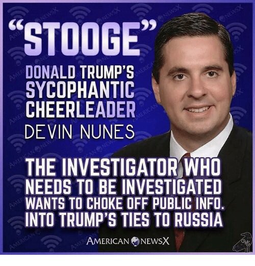 Terryg1979's tweet image. @realDonaldTrump @DevinNunes #RemoveTrumpNow #RemoveNunesNow #RemoveRyanNow #NunesMustGo