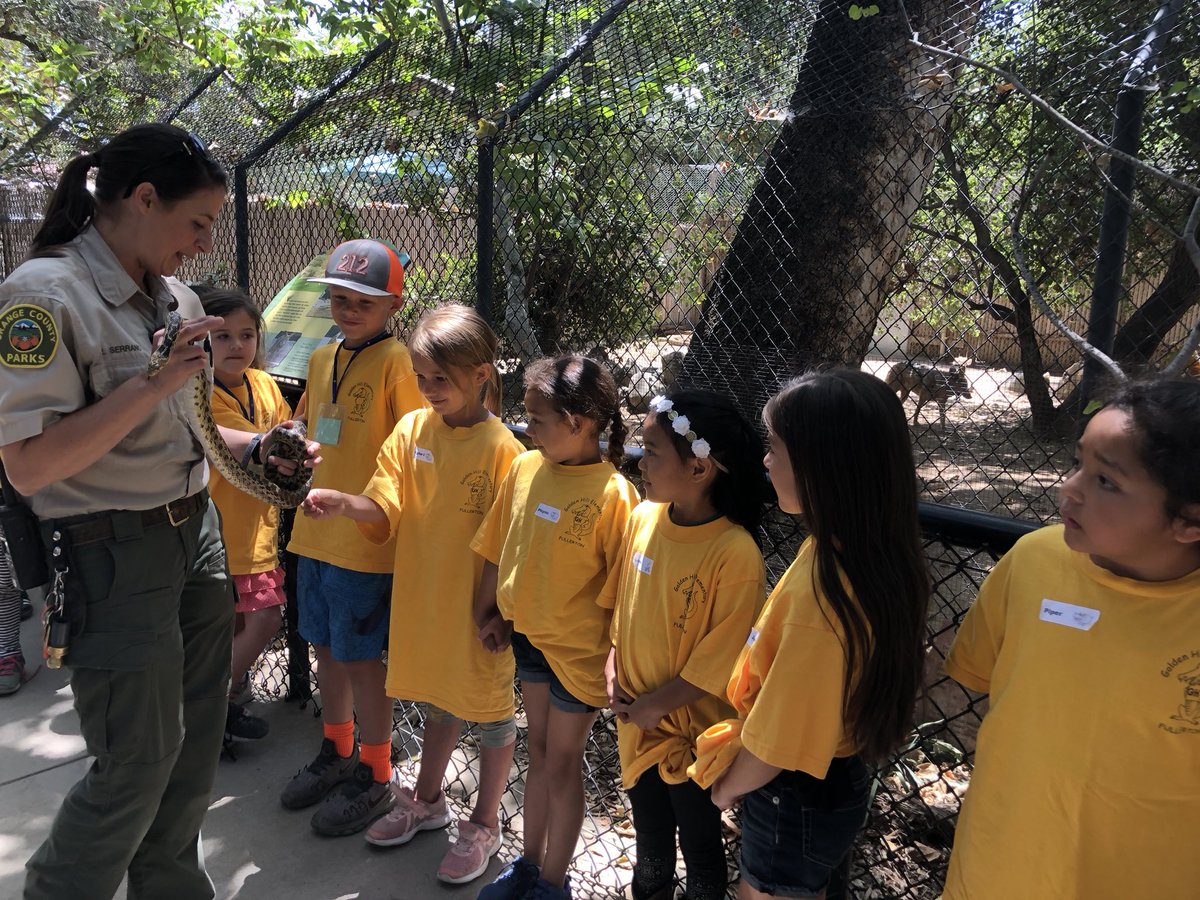 1stgradeGH's tweet photo. Field trip to the OC Zoo!! Had a wonderful time on the train and having a guided tour to learn about all the animals and their habitats!! #ghgators #ghef @GHElementary https://t.co/zetyUN7Xvc