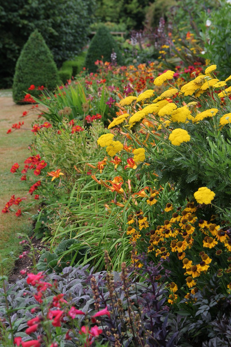 lucycgardens's tweet photo. Fancy joining me for a Saturday morning on June 2 where you can learn how to create fabulous flower borders? Our latest @CottageGarSch course will leave you brimming with confidence and oozing with creative design ideas. Click for more details:  https://t.co/5J8iv0CyHR https://t.co/8C3lpZxPZJ
