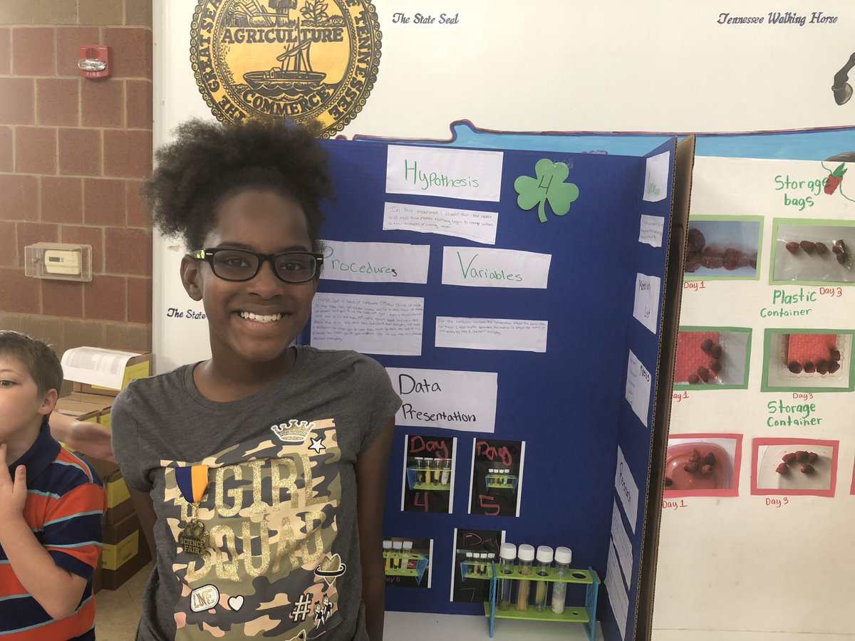 JMCSchools's tweet photo. Who'll take home the top trophy⁉️🏆 The top 12 #sciencefair projects by 5th graders at #DenmarkElementary were judged today.👀 👀  We'll let you know when the top three winners &amp; honorable mentions are awarded‼️ 🏆🏆🏆🥇🥈🥉 #JMCSS More pictures on #Facebook #scienceisfun https://t.co/tvfSc8Us0z