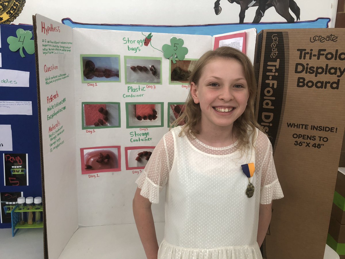 JMCSchools's tweet photo. Who'll take home the top trophy⁉️🏆 The top 12 #sciencefair projects by 5th graders at #DenmarkElementary were judged today.👀 👀  We'll let you know when the top three winners &amp; honorable mentions are awarded‼️ 🏆🏆🏆🥇🥈🥉 #JMCSS More pictures on #Facebook #scienceisfun https://t.co/tvfSc8Us0z