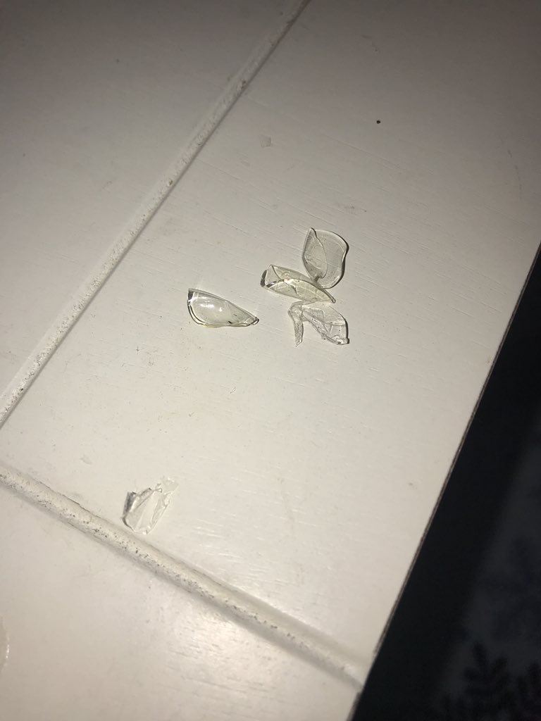 hnnhandrews's tweet photo. My nightstand just has dust and dried contacts on it, am I the grossest???😂 https://t.co/AR5VbmD7mb