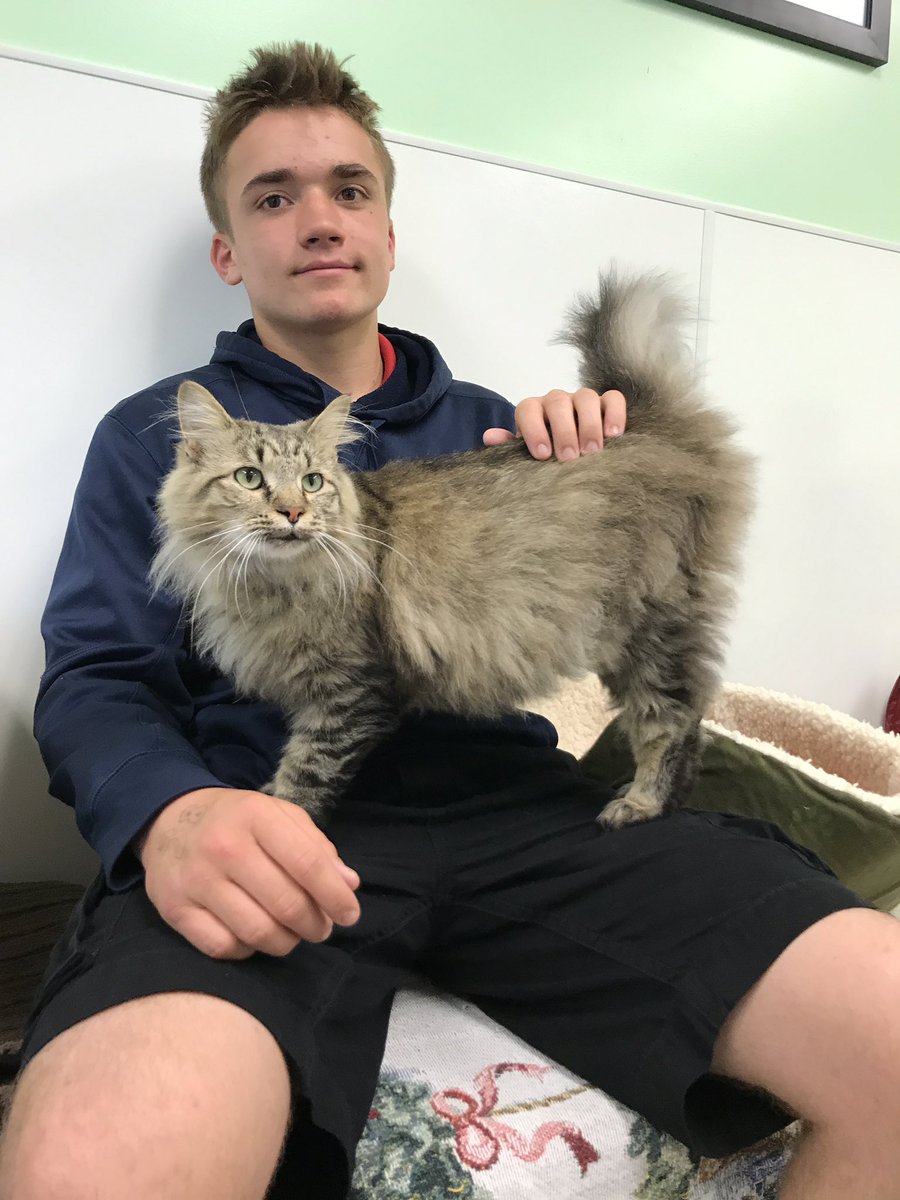 Wildcat Adventures tweet media