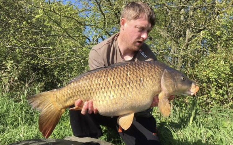 karperltd's tweet photo. KARPER Promo member Andi Holmes landed 13 carp over a 48hr session on his syndicate. Andi’s hookbaits of choice were the KARPER Ultra-Fluro coconut popups and KARPER Ultra-Fluro Shrimp and Garlic popups. Biggest weighting 24lb 12oz. #karperltd #karperbaits #TheEdge https://t.co/HWH43mgtmZ