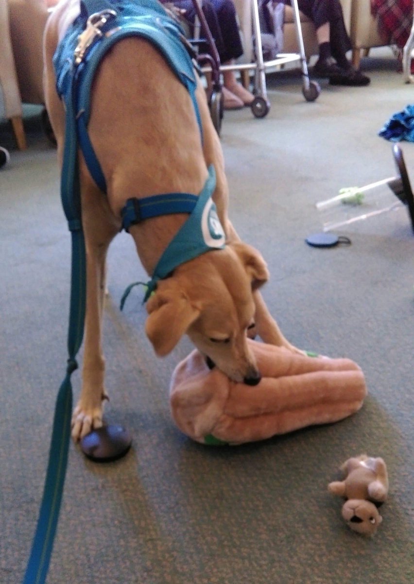 This morning we’ve been having fun with the residents of Windmill House, nr Thornbury, South Glos. 
Charlie and Nell enjoyed meeting everyone and playing lots of interactive games.