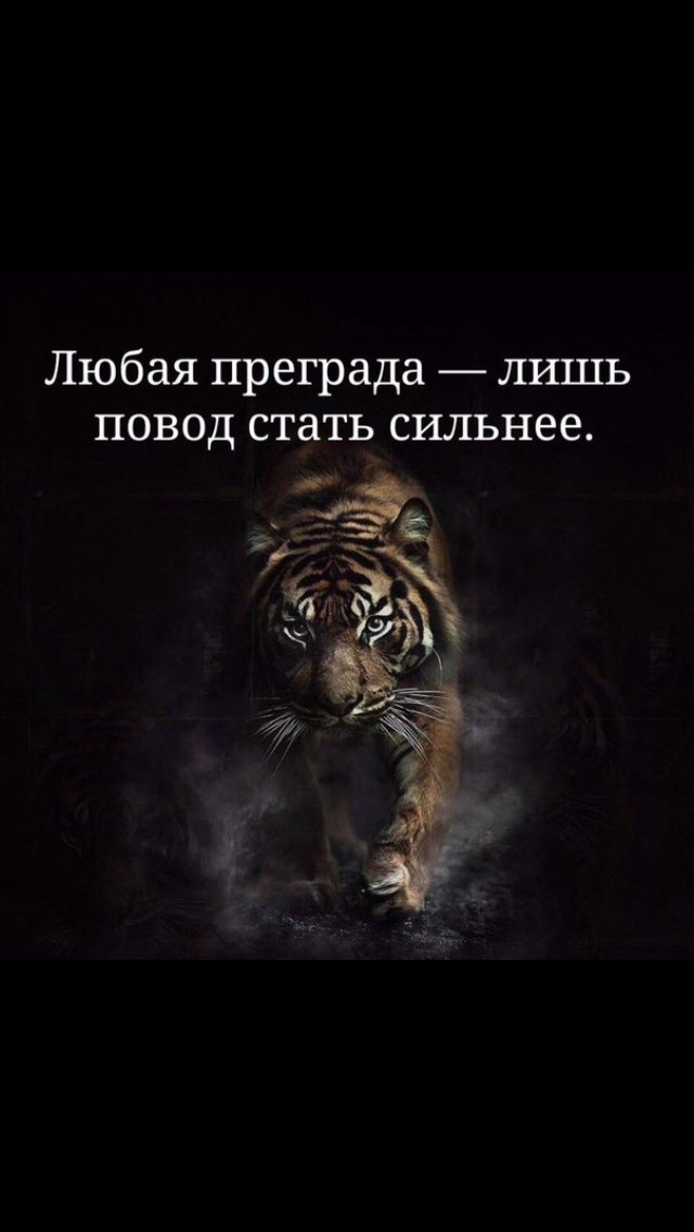 Danir Artemov tweet media