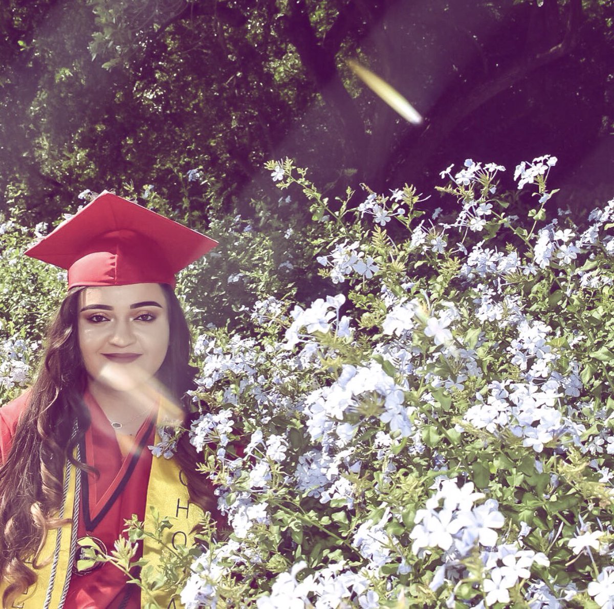 Alondrahuerta15's tweet image. Blessed to have parents that gave up their dreams so my sisters and I could follow our own. Orgullosamente Mexicana porque un papel no demuestra de lo que eres capaz de lograr, esté es el primero de muchos logros 🇲🇽 #undocugrad #storiesofus #thedreamus #DREAMER #futureRN