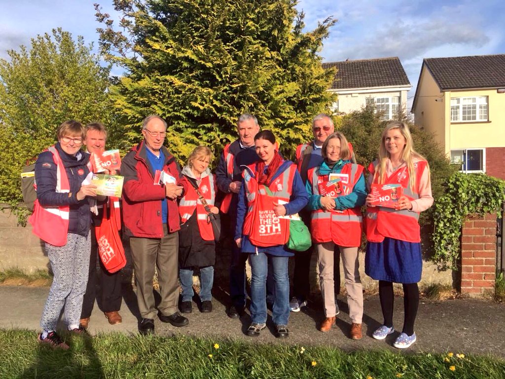 lifeinstitute's tweet photo. #LifeCanvass out tonight in #Huntstown on another very successful canvass, met so many lovely people, looking for information on what #8thRef is really about! Well done all #SaveThe8th #votenotoabortion #jointherebellion https://t.co/JhDP51Jqsd