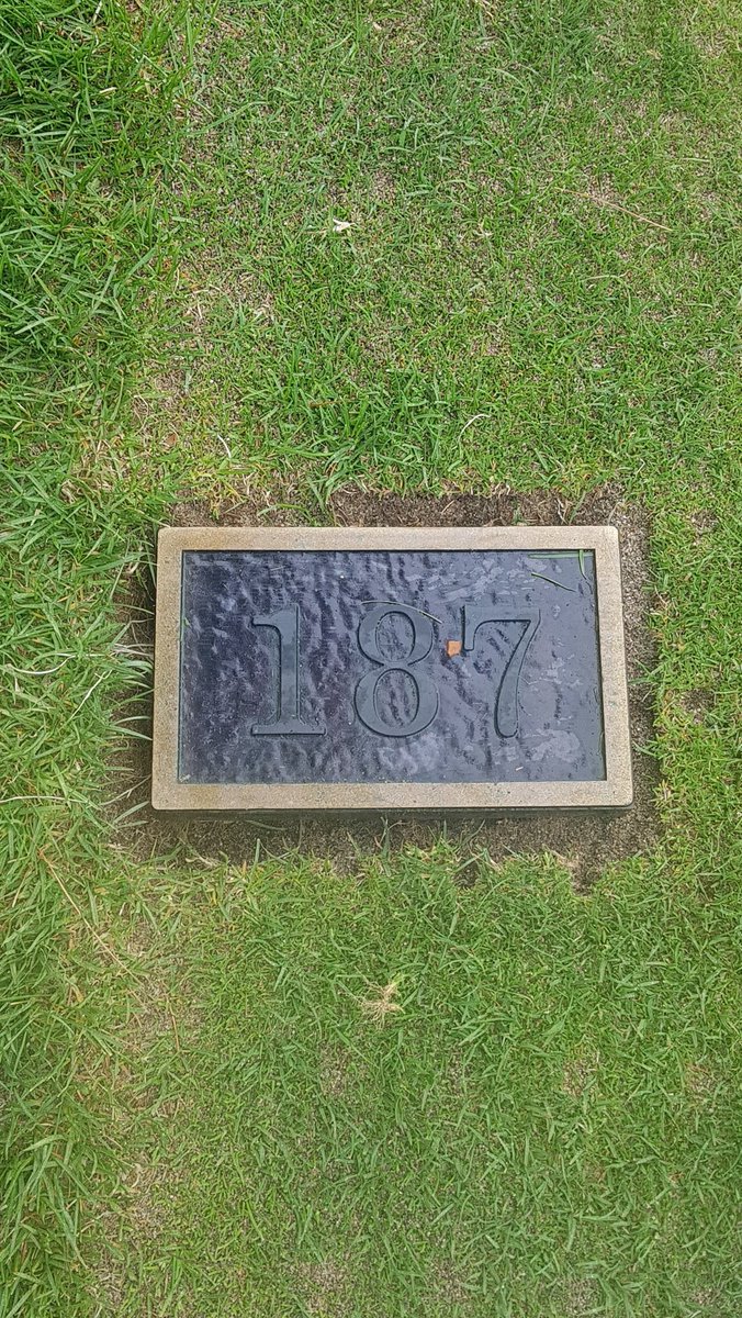 Martin33_31's tweet photo. @grumpysuper when you forget to tell the crew how to edge yardage plates properly  #cantassume #sodcutter #twofingerwidth https://t.co/BDSVkH4noU