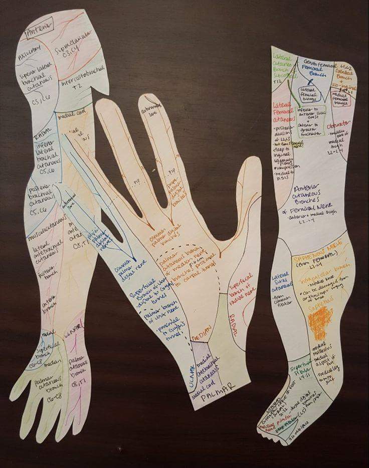 Herkesin dövme sandığı sadece belli bir grubun anladığı şaheser 😉 <a href="/cunkuftr/">Çünkü FTR</a>