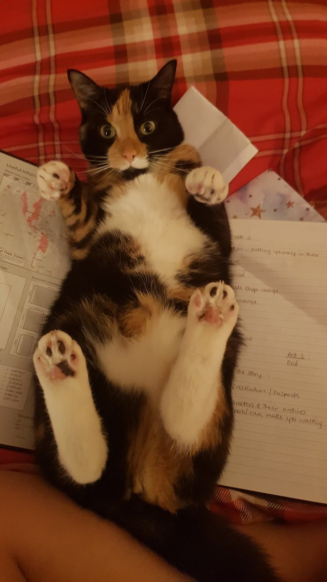 HMoglet tweet picture