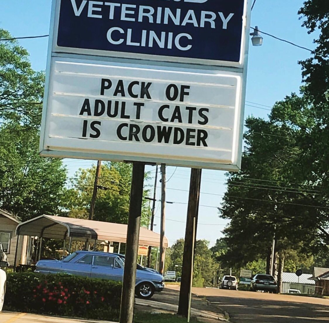 crowdermusic's tweet photo. Hmmmm 🤔🤔🤔
Don’t know what I think about this. #signofthetimes #crowder https://t.co/8dgOdhFxoe