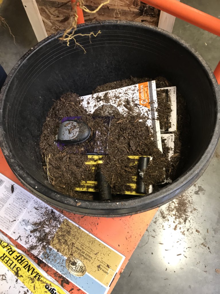 Nicole Franco tweet media