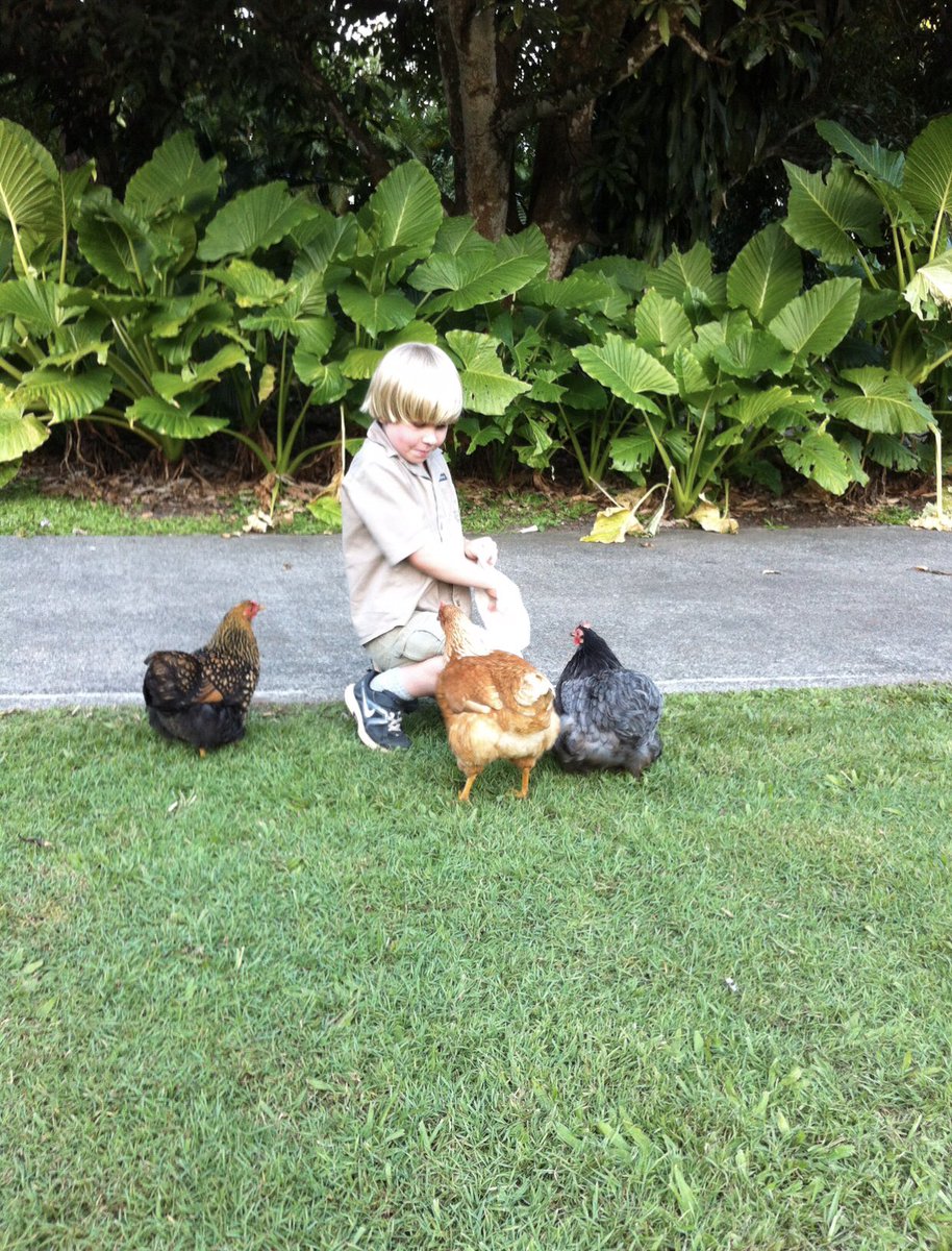 TerriIrwin's tweet photo. Pets really are part of the family.
#NationalPetWeek https://t.co/leFN51yoSF