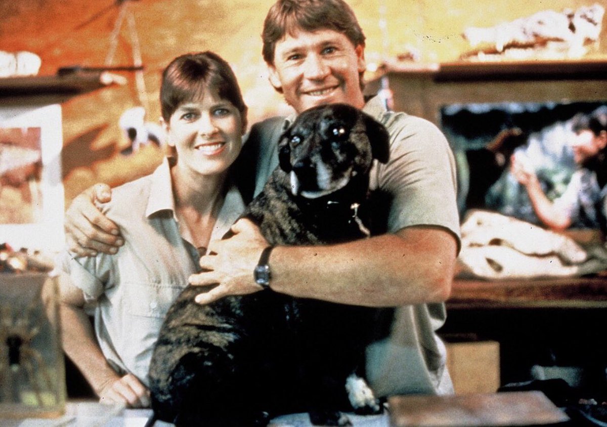 TerriIrwin's tweet photo. Pets really are part of the family.
#NationalPetWeek https://t.co/leFN51yoSF