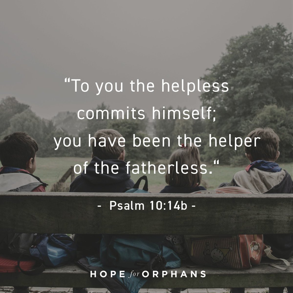 Hope for Orphans tweet media