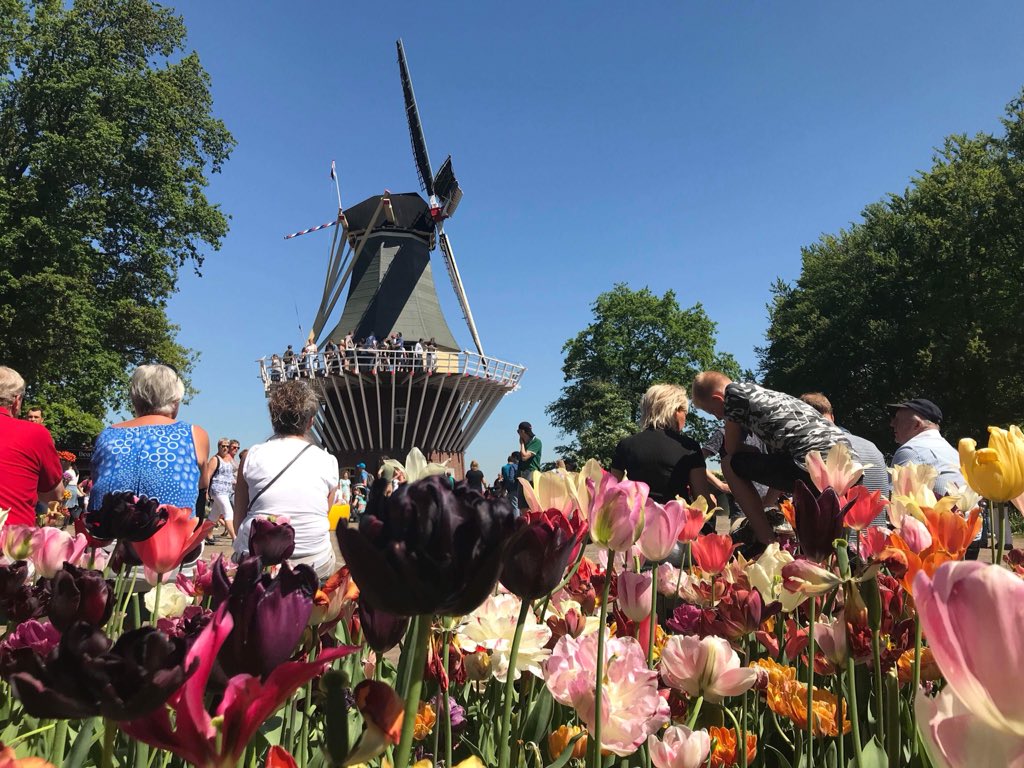 FloraGuery's tweet photo. Magnifique séjour aux Pays-Bas avec une petite balade au #Keukenhof 🌷 https://t.co/cPqqCASxcA