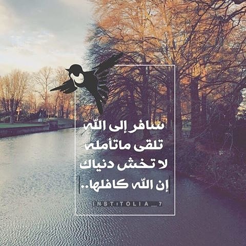 anfli7's tweet photo. )

. . . . لاتخش دنياك إن الله كافلها https://t.co/k71lefLp2D