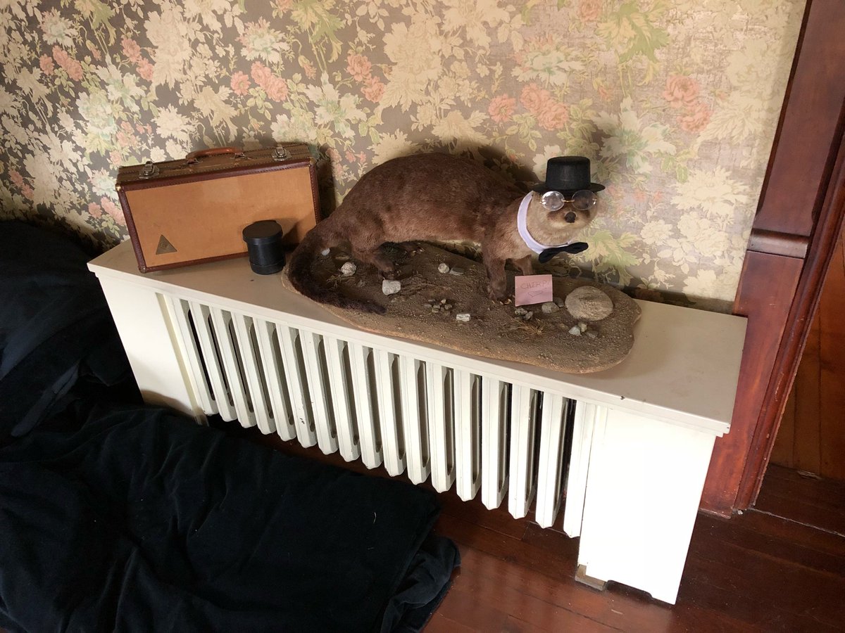 SueRankinSays's tweet image. “Greetings! I believe you’ve been expecting me? Do be careful with my case please, and prepared for a good-natured thrashing at Yahtzee over tea!” #OttersGottaOtt #DapperAF