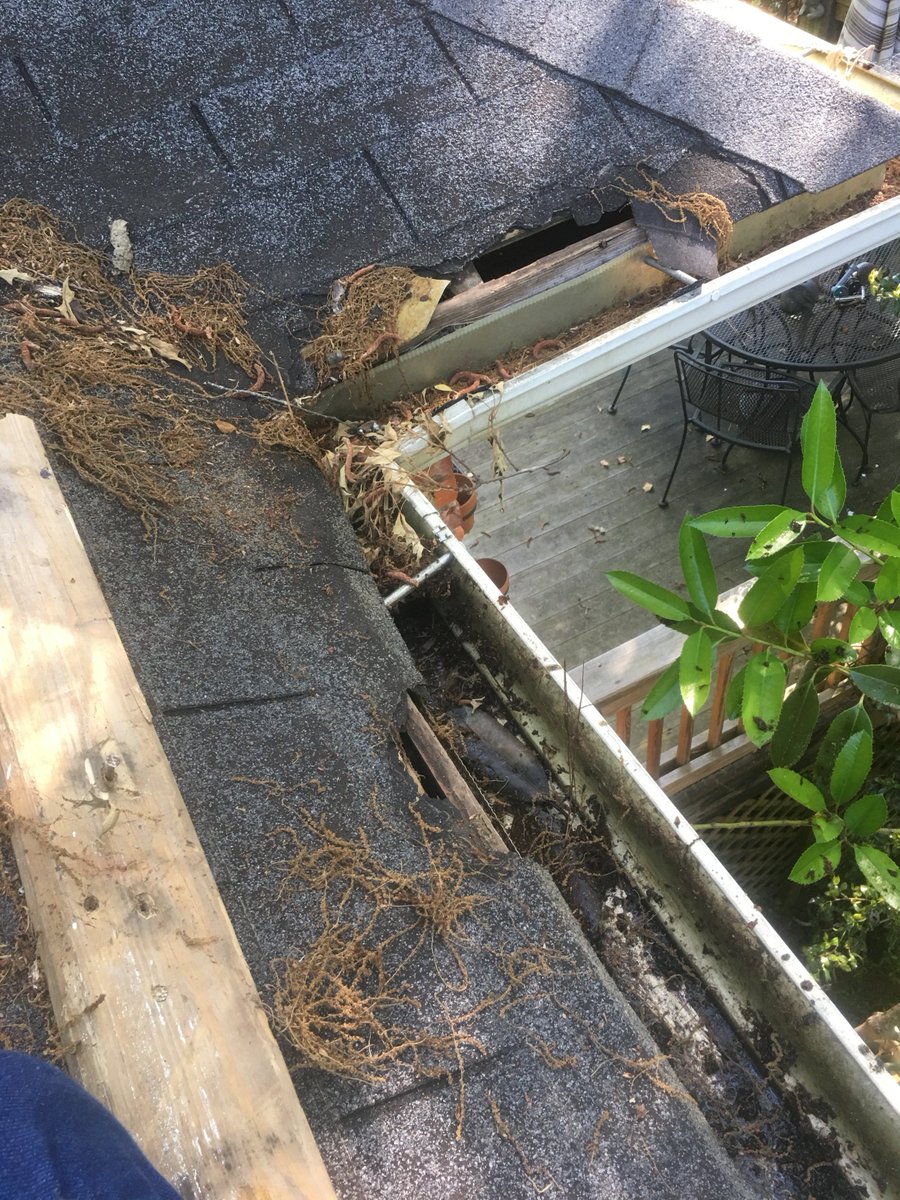 Unless you want to take a chance and climb up on your roof, you really won’t fully know what’s going on up there.  It’s important to have an experienced roofing contractor do a thorough inspection once or twice a year.  205-942-8374  #birminghamroofer #roofinspection