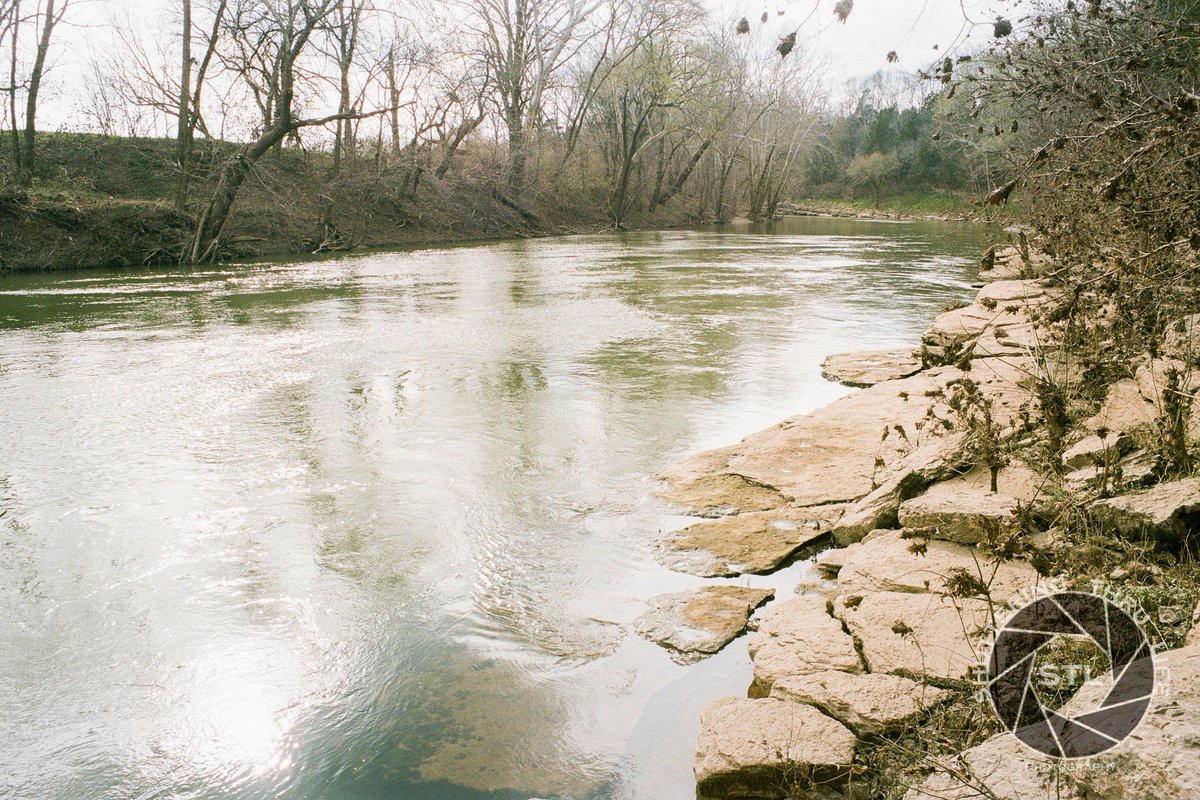 shutteringthru's tweet photo. Duck River at Cheeks Bend #BelieveInFilm #Kodak #Portra160 #CheeksBend #DuckRiver #ColumbiaTN #Tennessee #Olympus #OM1 Story Behind Photos at https://t.co/t6Q0hjD8dn https://t.co/DQHKpKSp1i