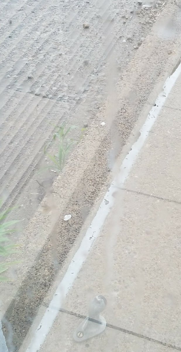 edwardrhoades's tweet image. Hail near 41 and Virgina