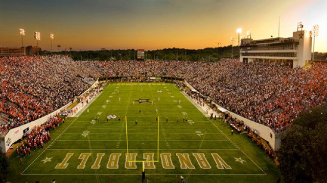 Сурепица озимая. Рапс озимый цветение. Рапсовые поля в россии. Поле вид сверху. Зеленое поле вид сверху.