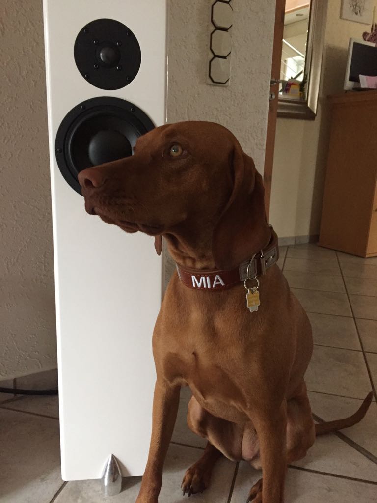 lucylentini's tweet photo. Lovely Mia #smart #beautiful https://t.co/4OTXtzcjW9