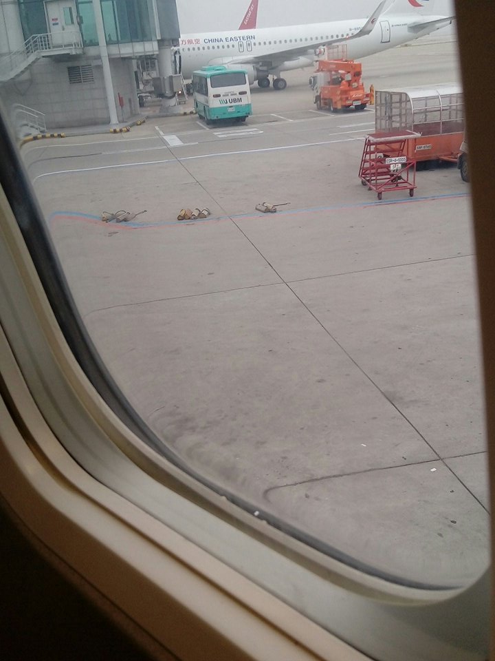 해리스탈스보러 일본갑니다,, 얘를 이렇ㄱㅔ까지 팔줄 몰랏어,,,