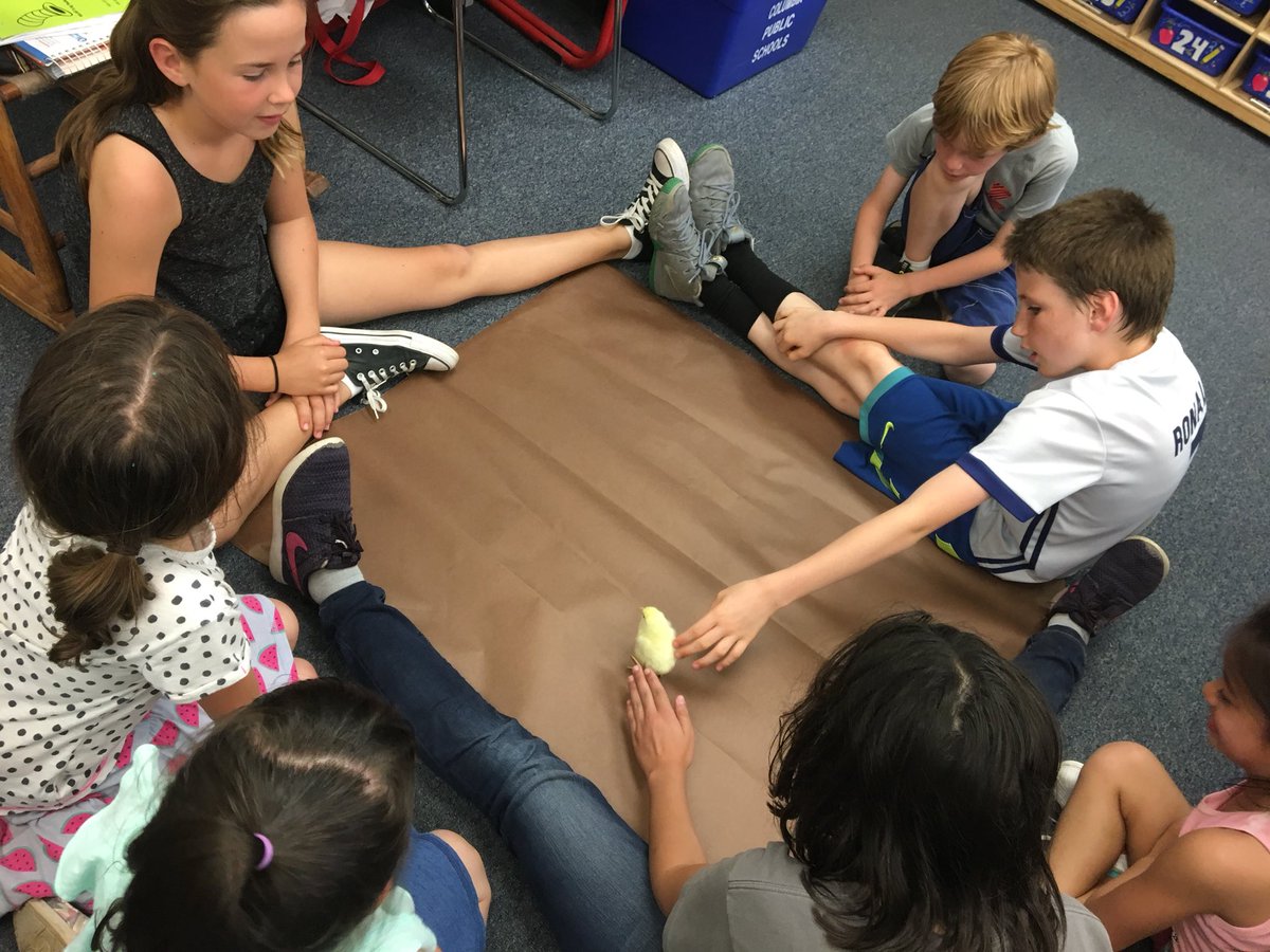 MrsDemczak's tweet photo. We got to meet our buddies chicks today! So cute! 🐥 https://t.co/NBNitIHTde