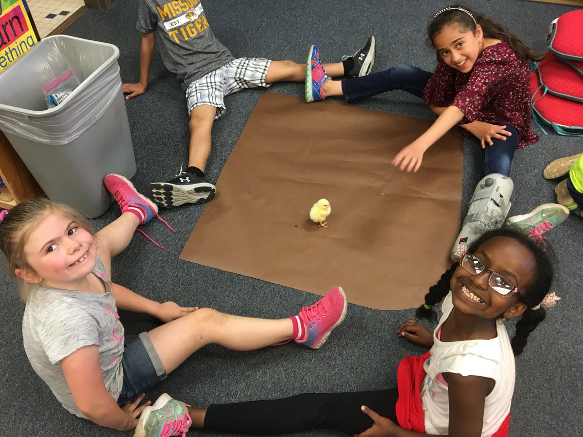 We got to meet our buddies chicks today! So cute! 🐥